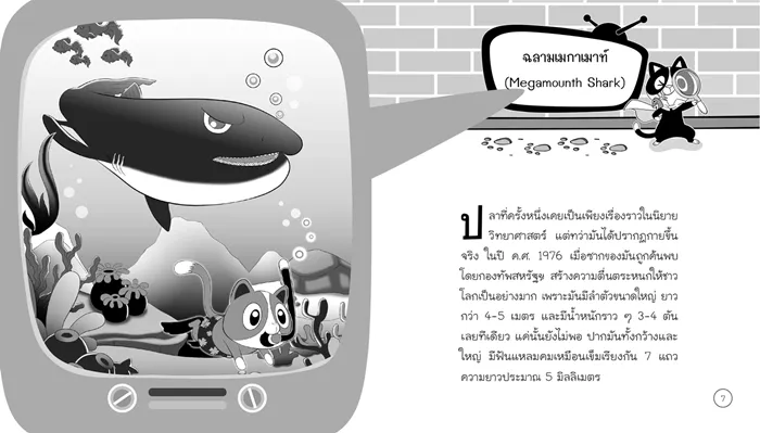 50 สัตว์ทะเลสุดยอดพิศวง 3
